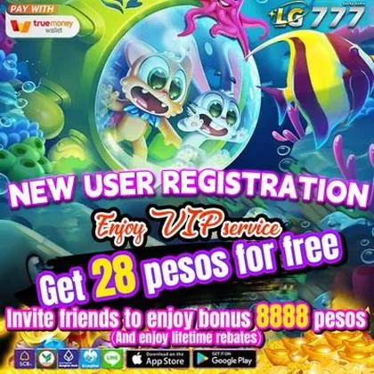 DD555 DD555